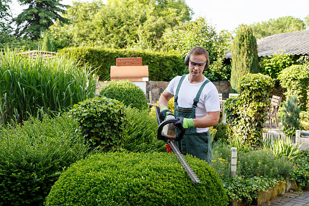 Mulching Services